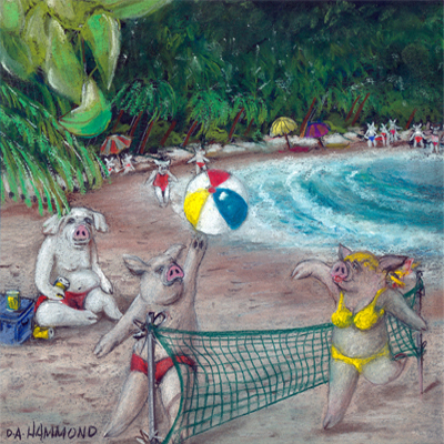 bay of pugs leisure bay of pugs leisure