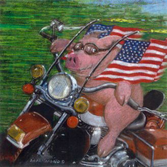  Hog Bless America