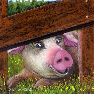 Barnyard Humor